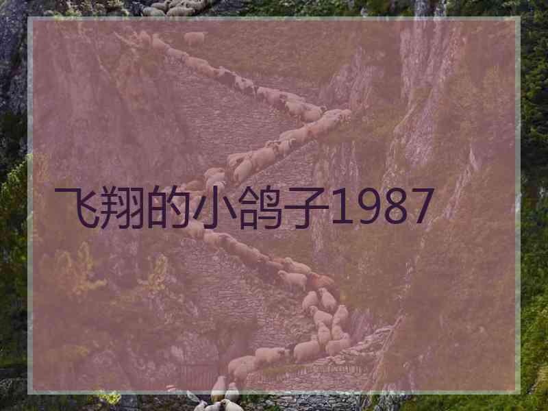 飞翔的小鸽子1987