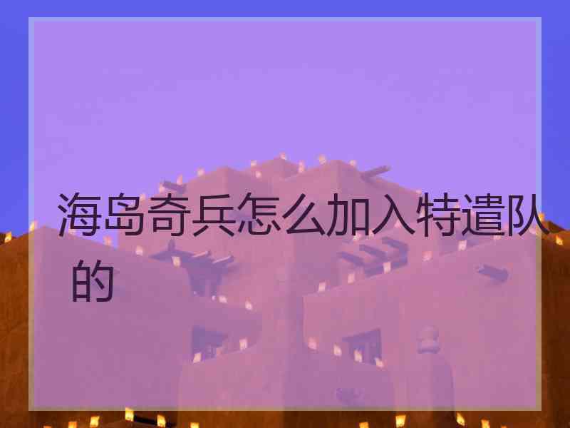 海岛奇兵怎么加入特遣队 的