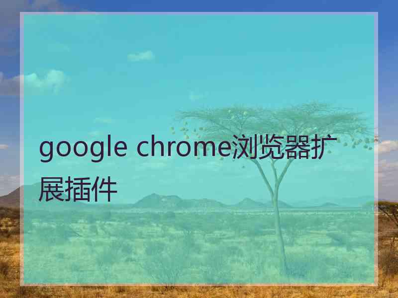 google chrome浏览器扩展插件