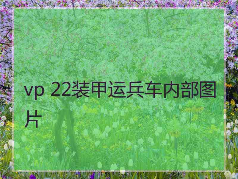 vp 22装甲运兵车内部图片