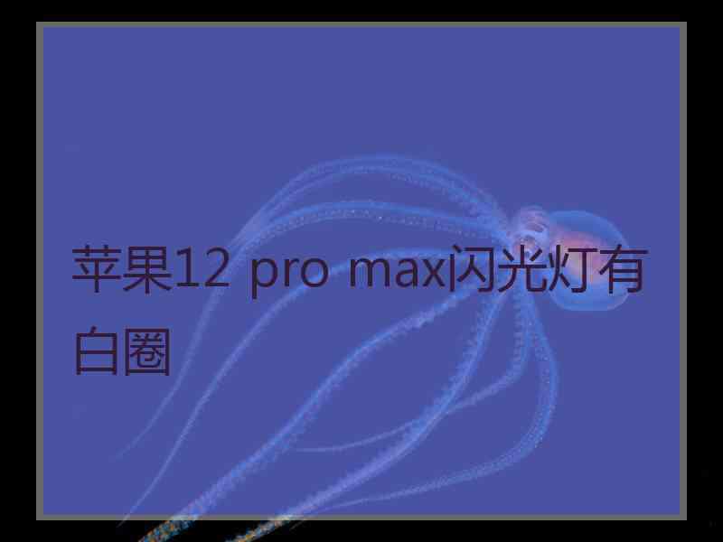 苹果12 pro max闪光灯有白圈