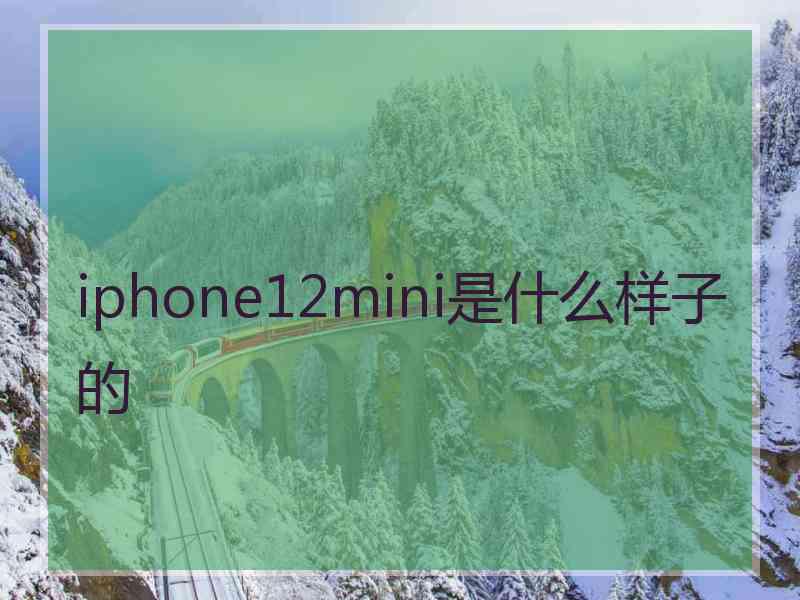 iphone12mini是什么样子的