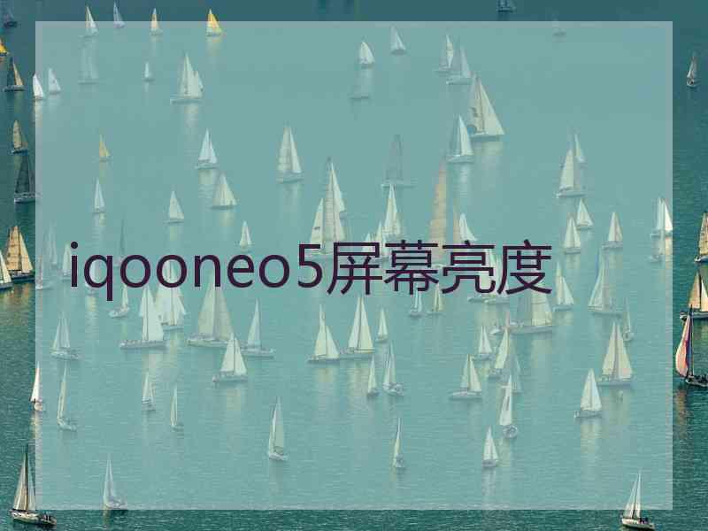 iqooneo5屏幕亮度