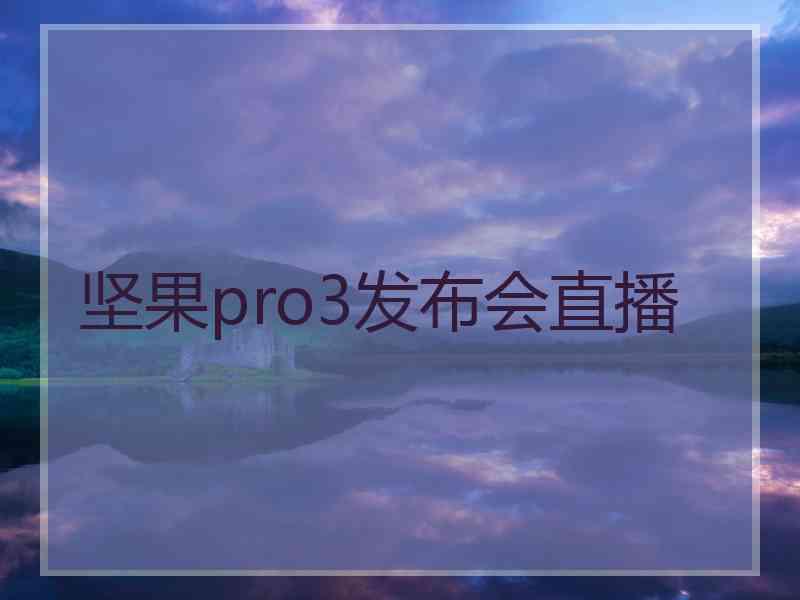 坚果pro3发布会直播