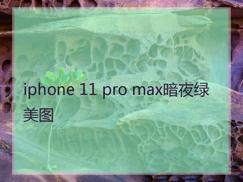 iphone 11 pro max暗夜绿美图