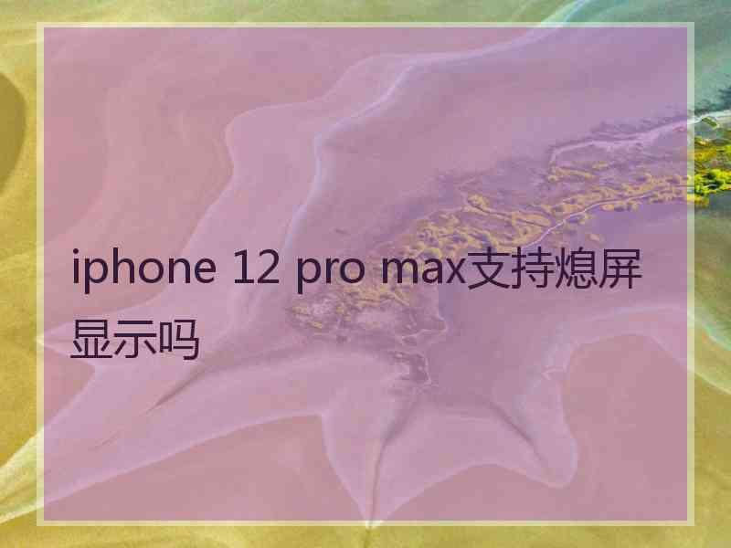 iphone 12 pro max支持熄屏显示吗