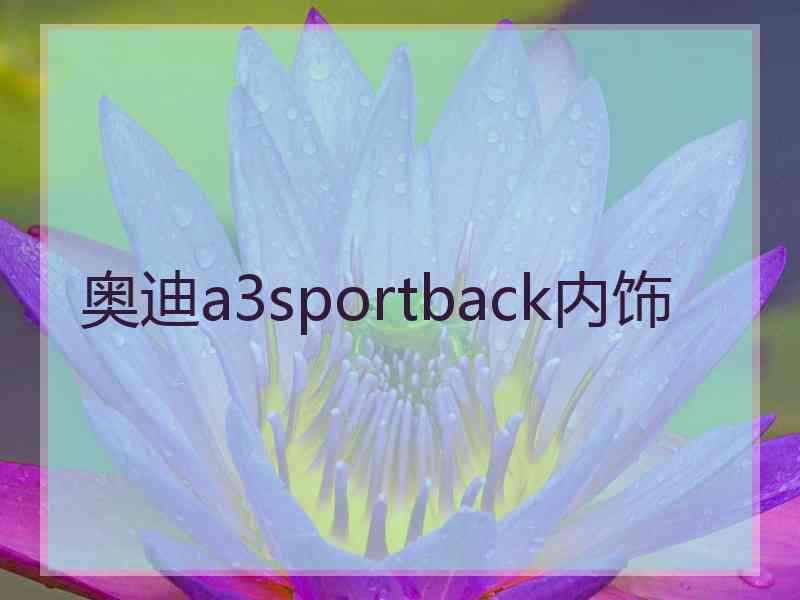 奥迪a3sportback内饰