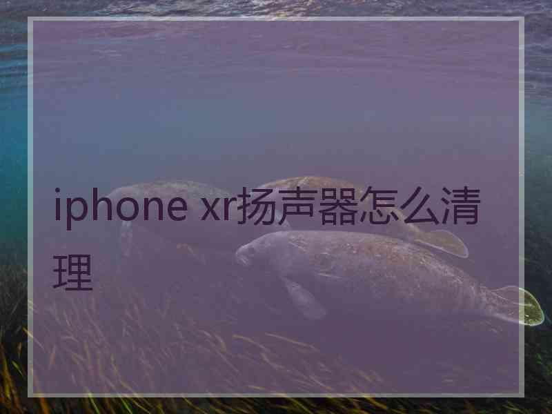 iphone xr扬声器怎么清理