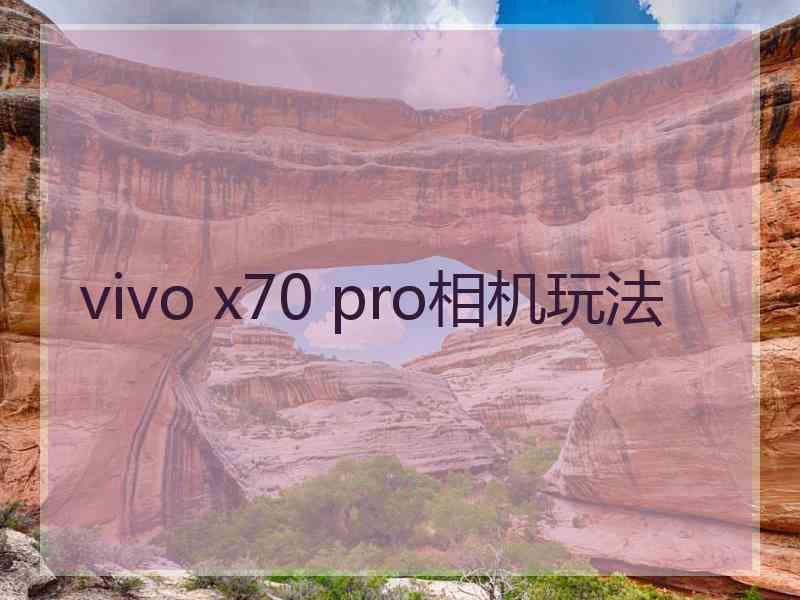 vivo x70 pro相机玩法