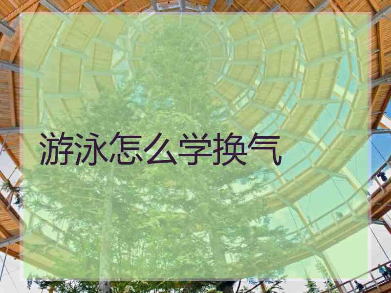 游泳怎么学换气