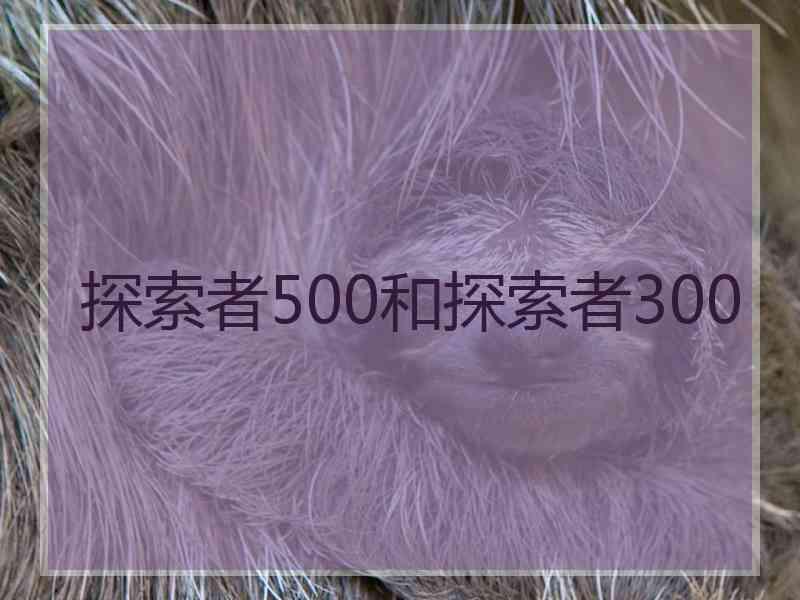 探索者500和探索者300