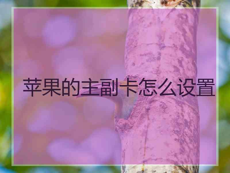 苹果的主副卡怎么设置