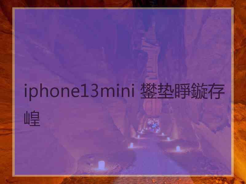 iphone13mini 鐢垫睜鏇存崲