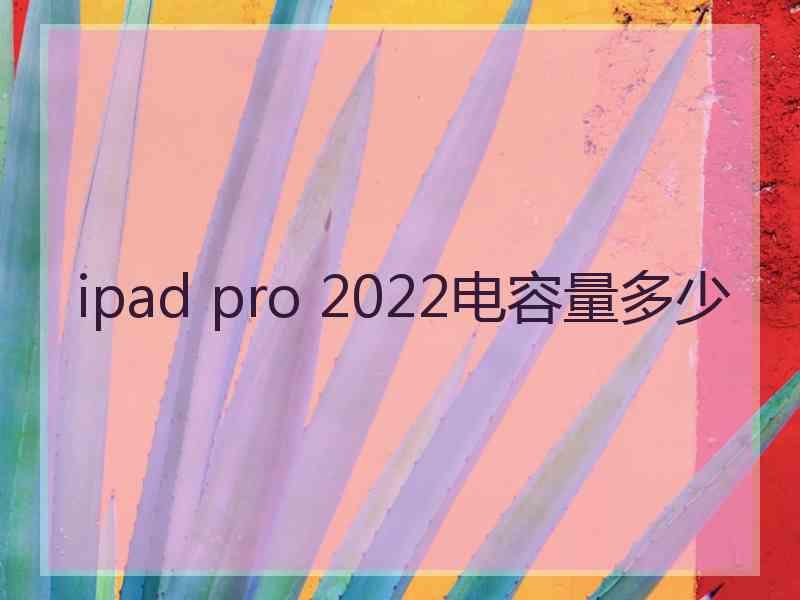 ipad pro 2022电容量多少