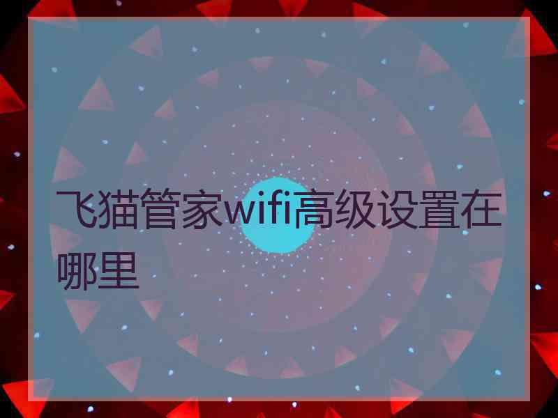 飞猫管家wifi高级设置在哪里