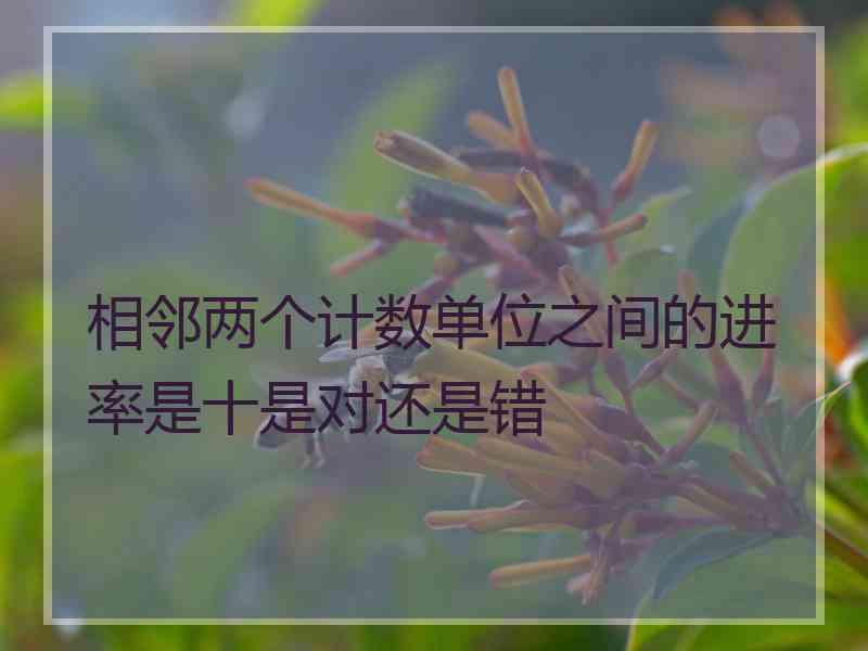 相邻两个计数单位之间的进率是十是对还是错