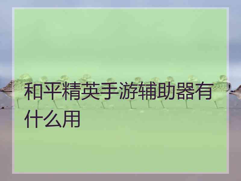 和平精英手游辅助器有什么用