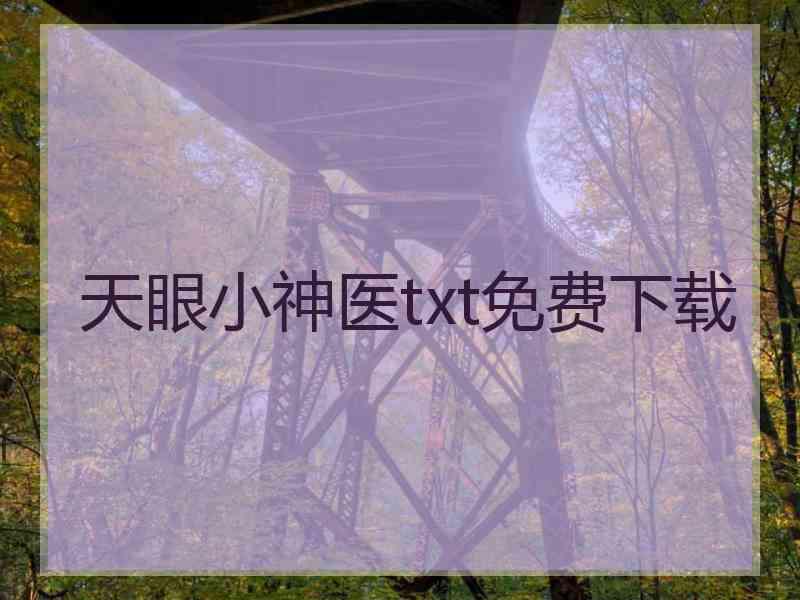 天眼小神医txt免费下载