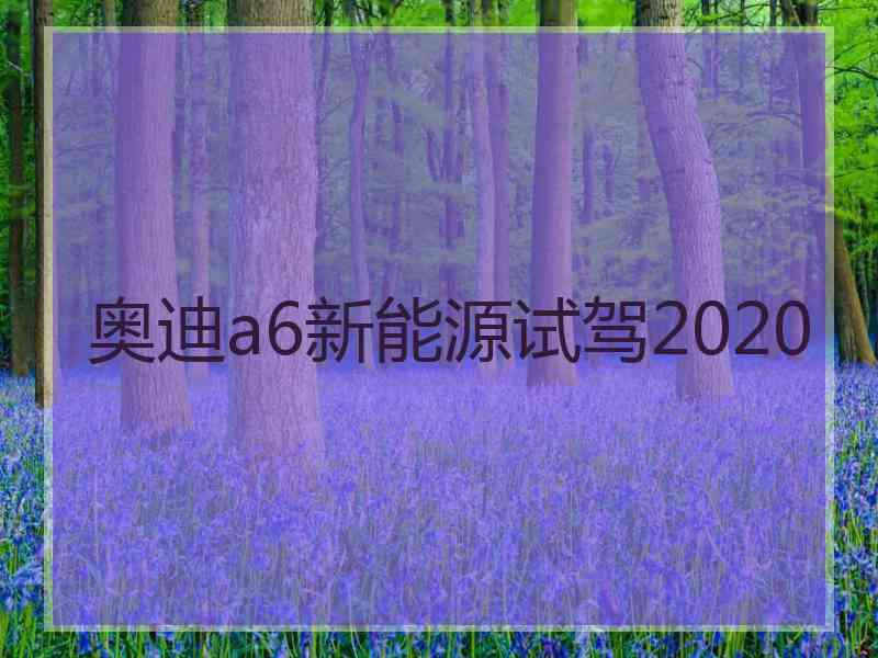 奥迪a6新能源试驾2020