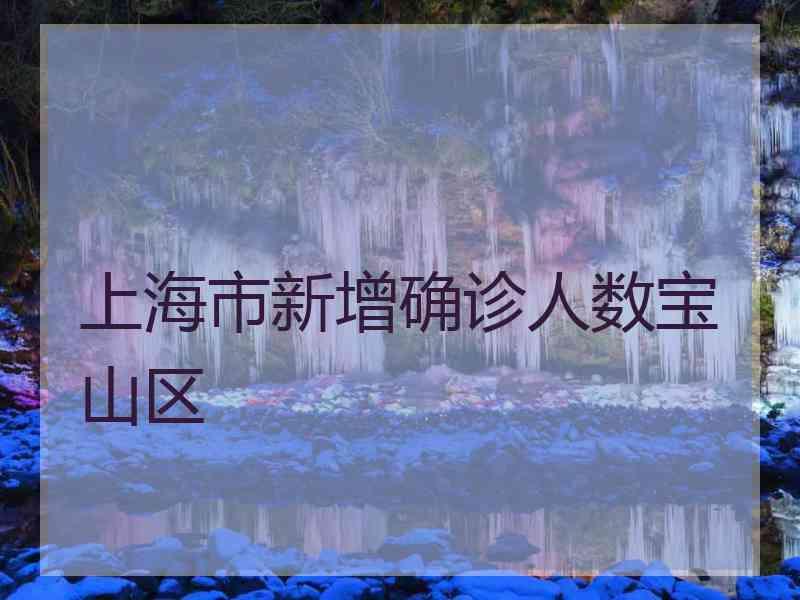 上海市新增确诊人数宝山区