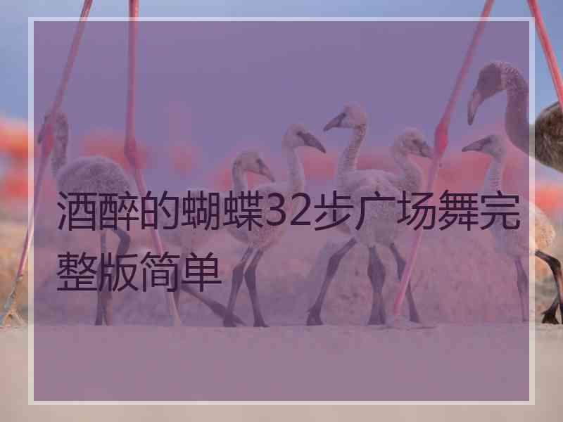 酒醉的蝴蝶32步广场舞完整版简单