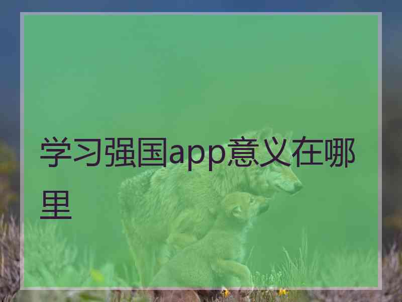 学习强国app意义在哪里