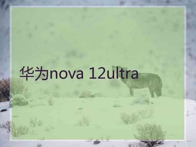 华为nova 12ultra