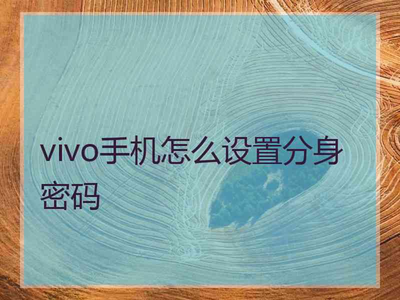 vivo手机怎么设置分身密码