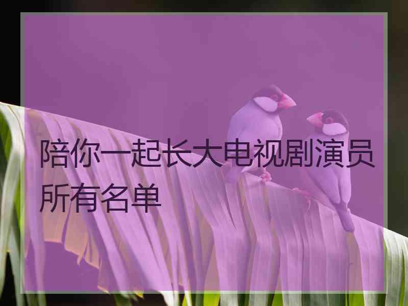 陪你一起长大电视剧演员所有名单