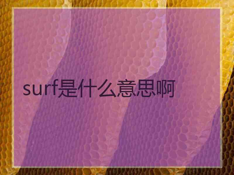 surf是什么意思啊