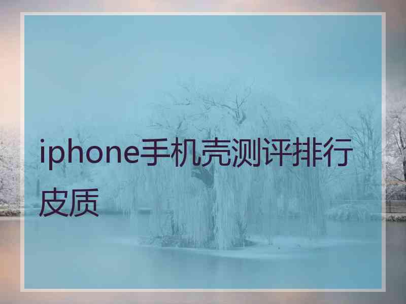 iphone手机壳测评排行皮质