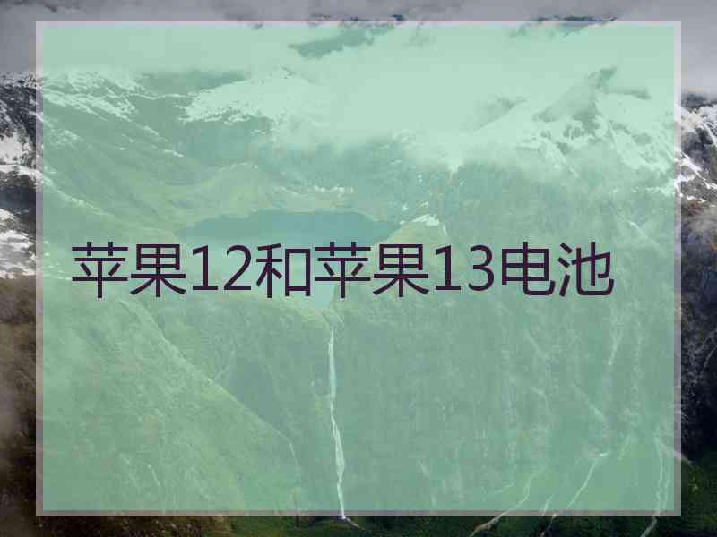 苹果12和苹果13电池