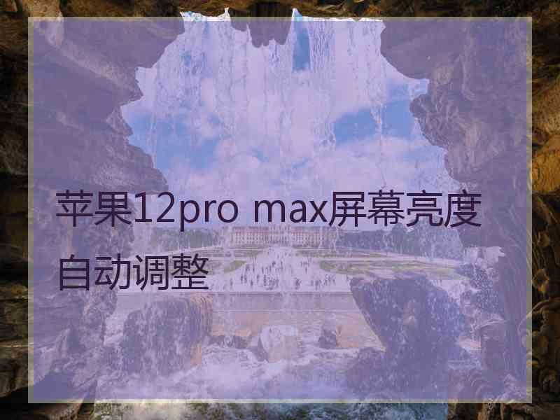 苹果12pro max屏幕亮度自动调整