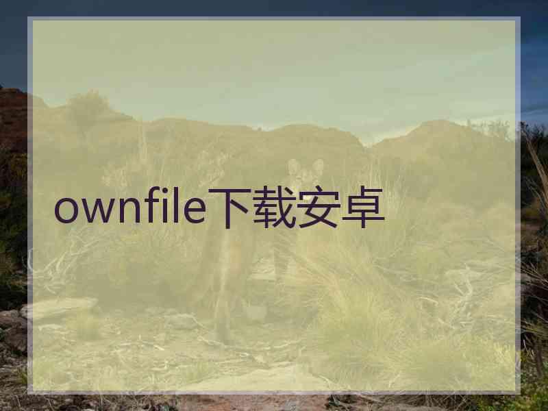 ownfile下载安卓