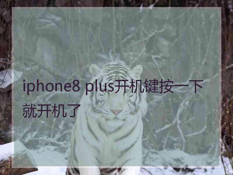 iphone8 plus开机键按一下就开机了