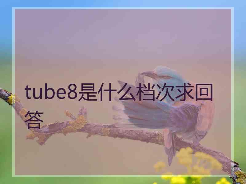 tube8是什么档次求回答