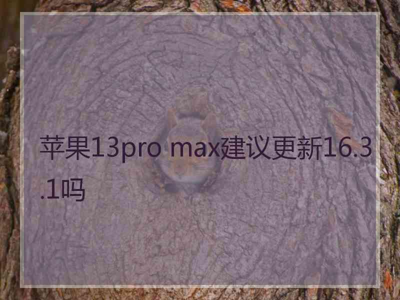 苹果13pro max建议更新16.3.1吗