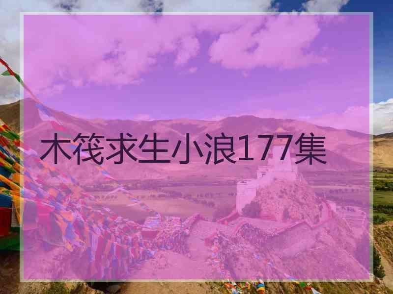 木筏求生小浪177集