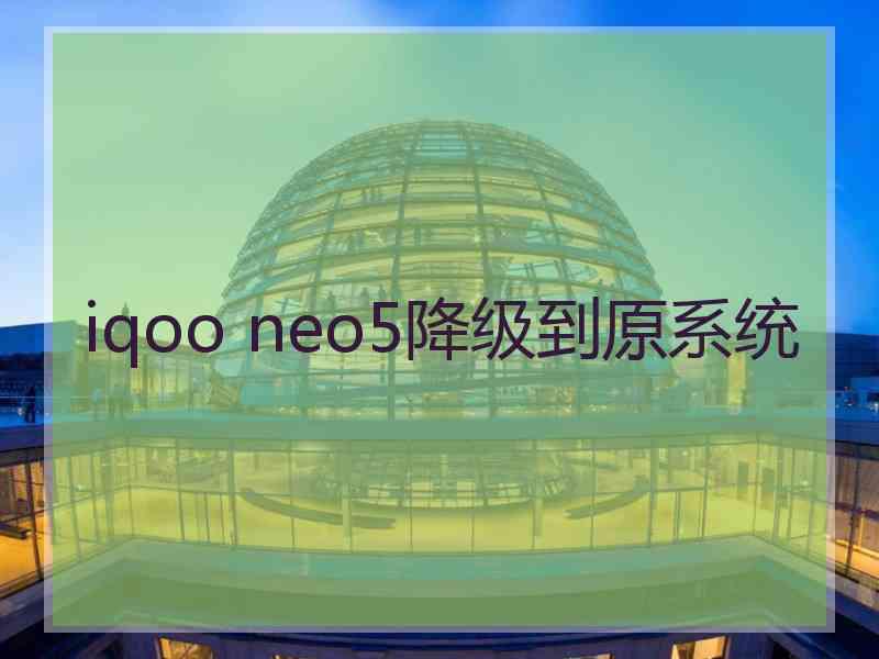 iqoo neo5降级到原系统