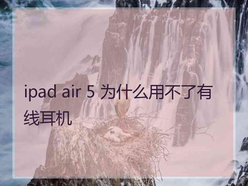 ipad air 5 为什么用不了有线耳机