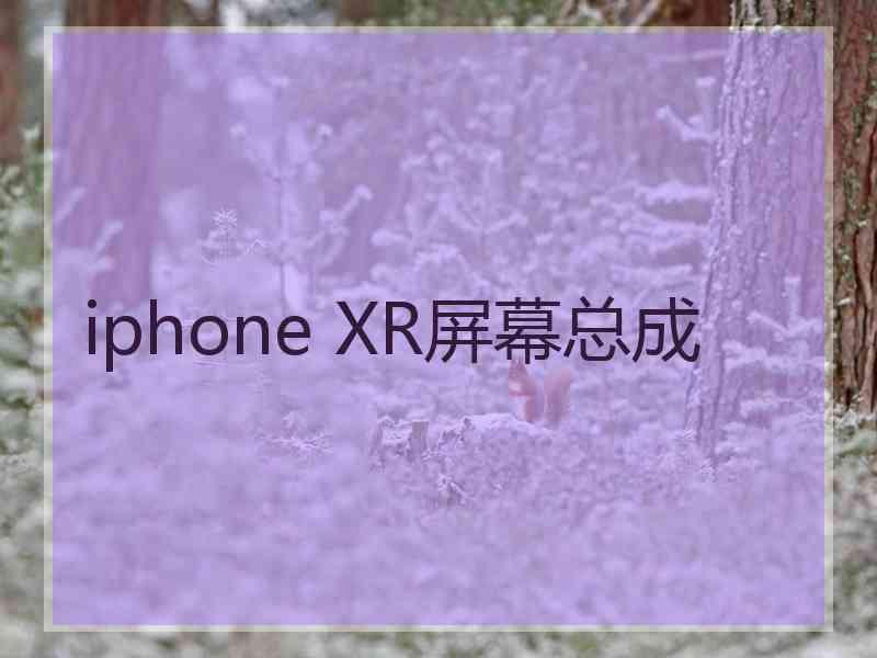 iphone XR屏幕总成