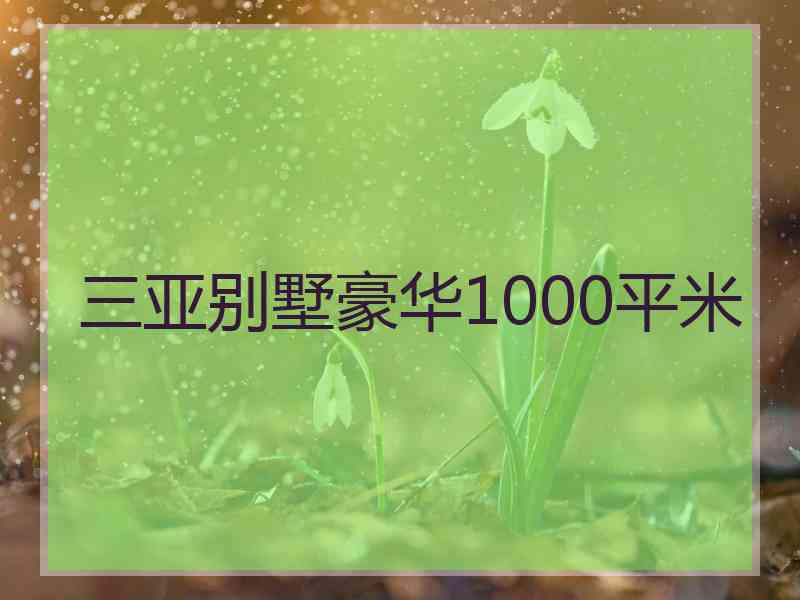 三亚别墅豪华1000平米