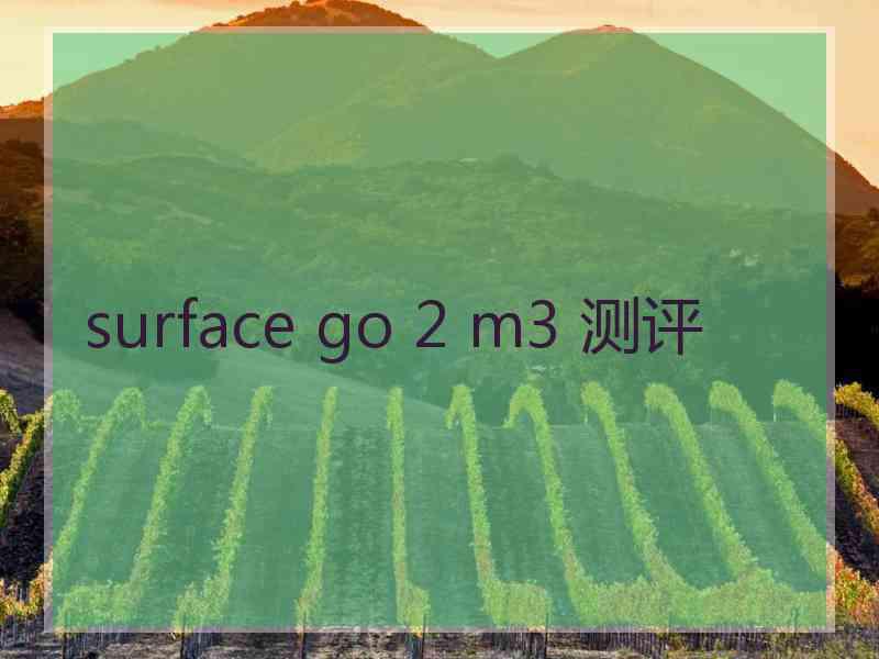 surface go 2 m3 测评