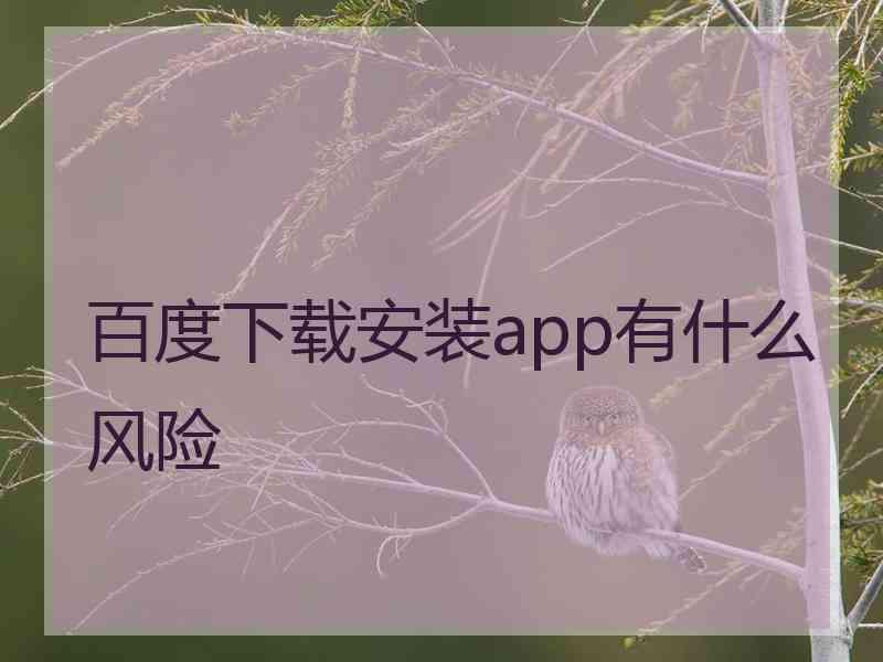 百度下载安装app有什么风险