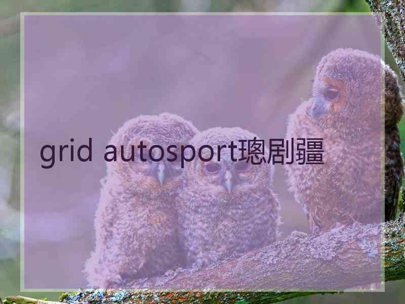 grid autosport璁剧疆