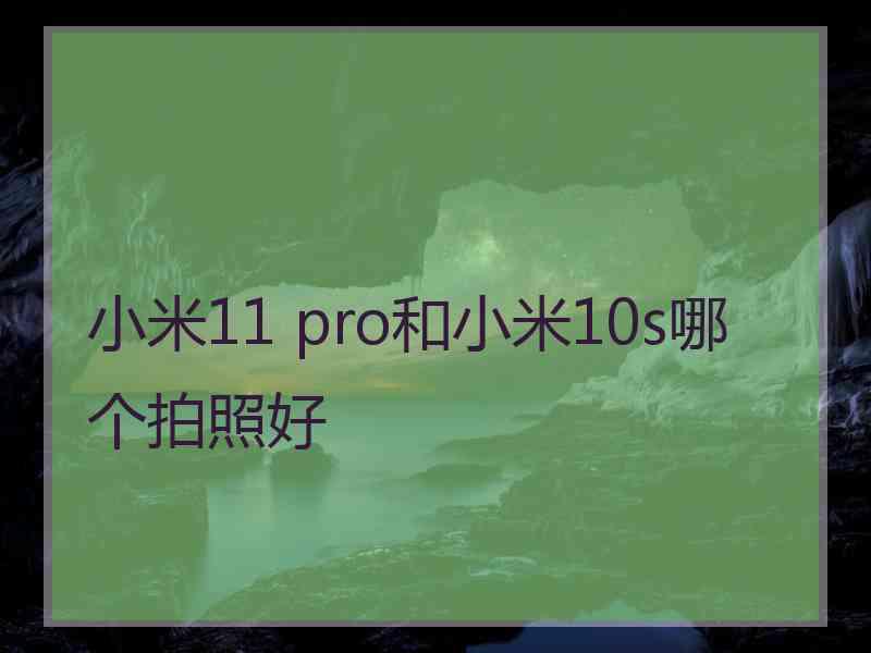 小米11 pro和小米10s哪个拍照好