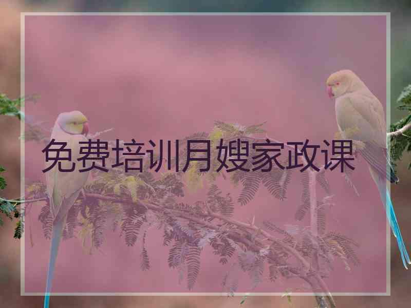 免费培训月嫂家政课