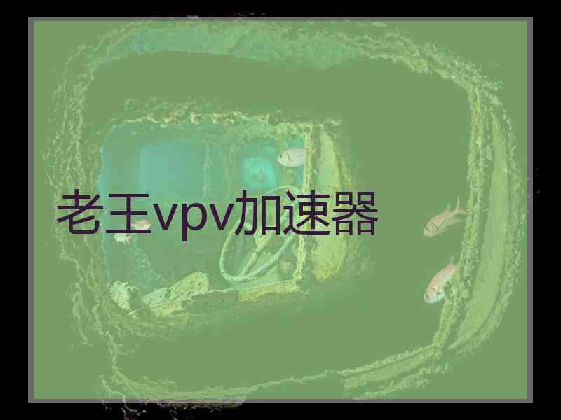 老王vpv加速器