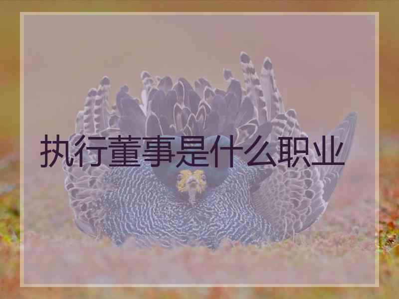 执行董事是什么职业