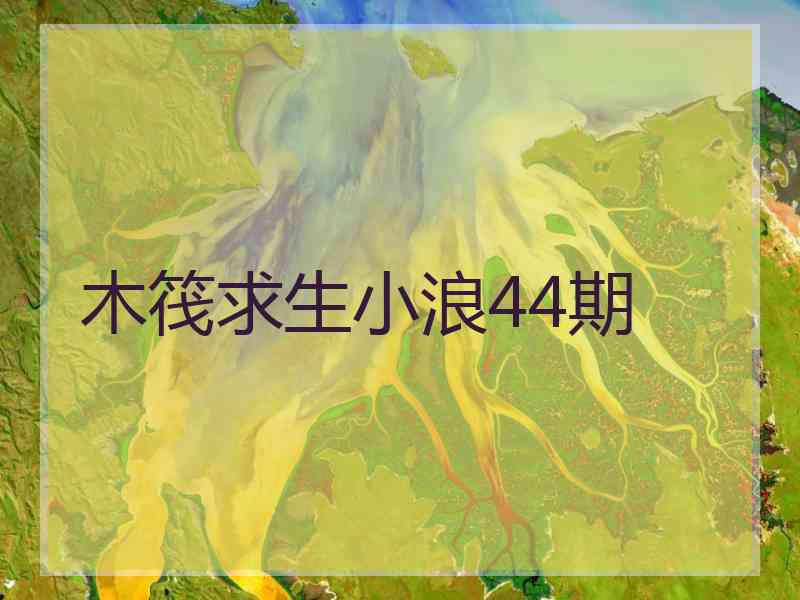 木筏求生小浪44期